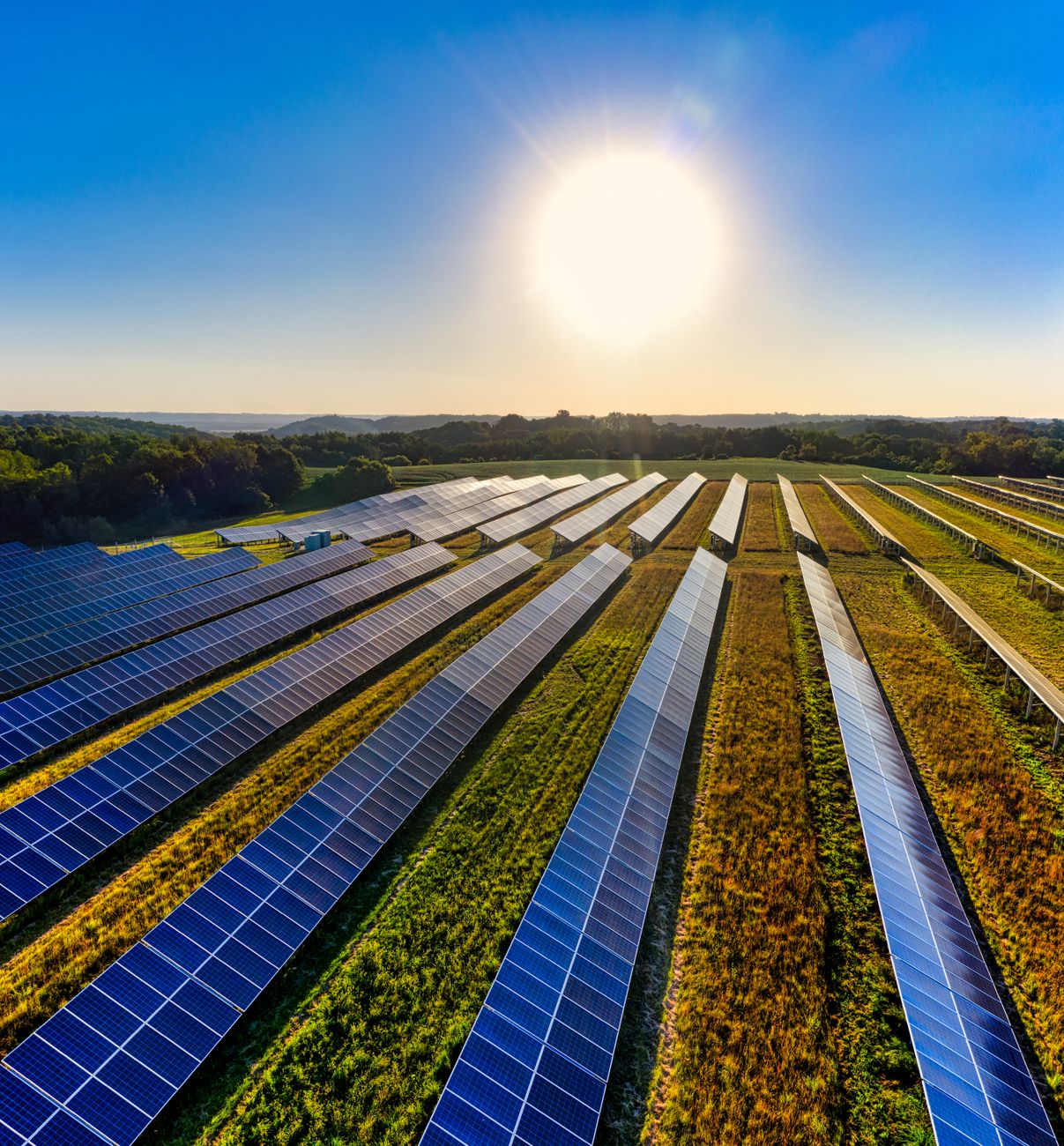 solar farm at sunny day